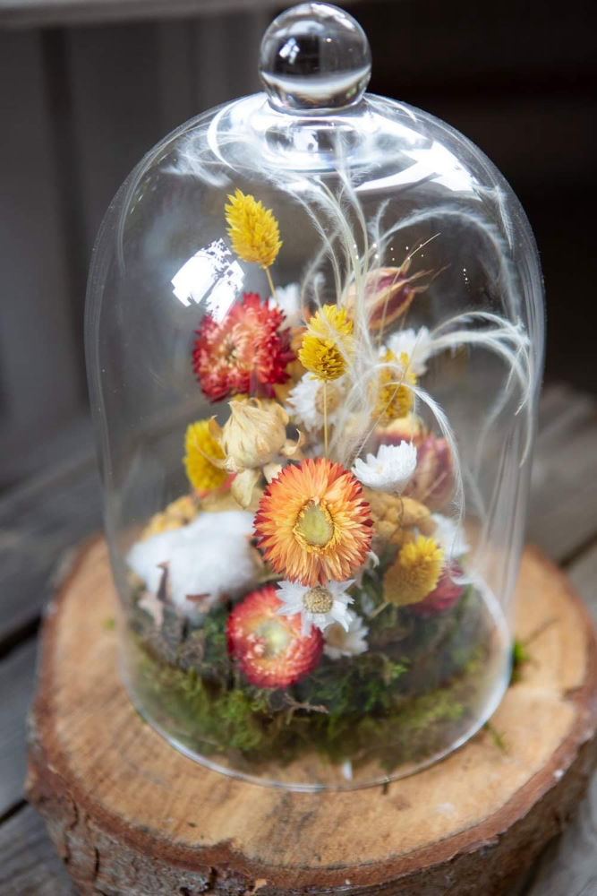 Création florale sous cloche